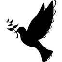 Sling Social Logo